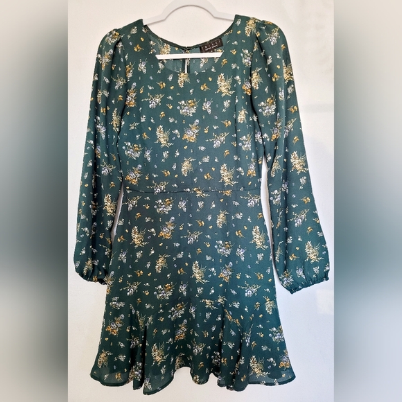 Trixxi Francesca's Women Long Sleeve Mini Dress Floral/Paisley Green Lined Small - Picture 12 of 16